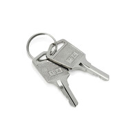 Fire Alarms, Fire Alarm Accessories, Fire Alarm Equipment Keys - Haes 134 Access Control Keys, Sold In Pairs